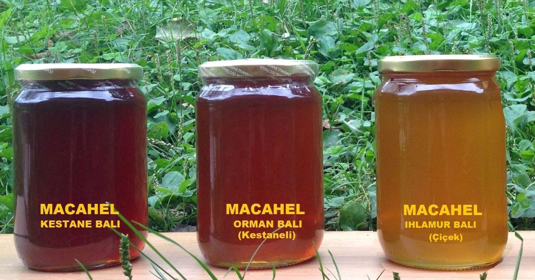Çimenlerin üzerinde üç kavanoz Macahel balı: kestane, orman ve ıhlamur